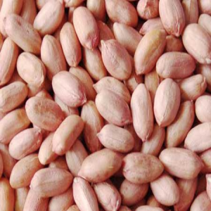 Peanut (Moongphali) 250 gm